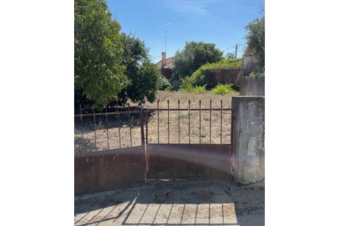 Byhus i Ponte de Sor, Portalegre, Ponte de Sor - € 160.000 | Ref: 859 - foto 13