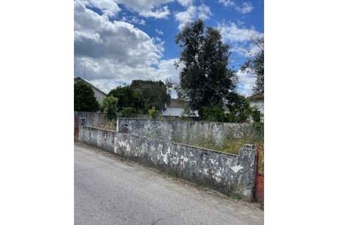 Byhus i Ponte de Sor, Portalegre, Ponte de Sor - € 160.000 | Ref: 859 - foto 14