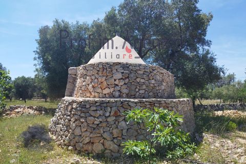 Landejendom i Carovigno, Brindisi, Carovigno - € 75.000 | Ref: 122675 - foto 2