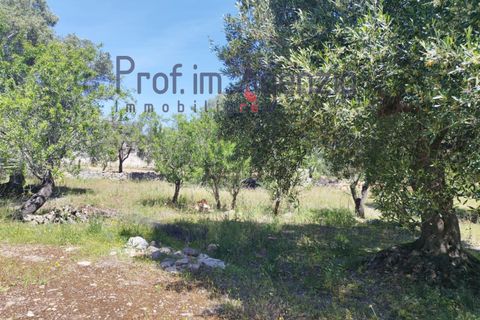 Landejendom i Carovigno, Brindisi, Carovigno - € 75.000 | Ref: 122675 - foto 8