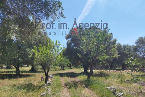 Landejendom i Carovigno, Brindisi, Carovigno - € 75.000 | Ref: 122675 - foto 10