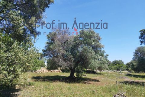 Landejendom i Carovigno, Brindisi, Carovigno - € 75.000 | Ref: 122675 - foto 9