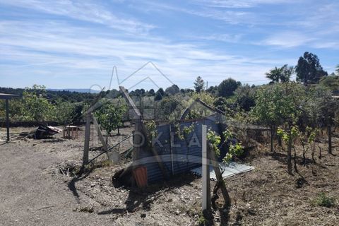 Helårsgrund i Castelo Branco, Castelo Branco, Castelo Branco - € 180.000 | Ref: SÒL_79 - foto 42