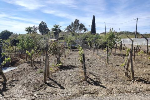 Helårsgrund i Castelo Branco, Castelo Branco, Castelo Branco - € 180.000 | Ref: SÒL_79 - foto 44