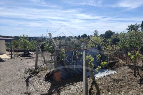 Helårsgrund i Castelo Branco, Castelo Branco, Castelo Branco - € 180.000 | Ref: SÒL_79 - foto 45