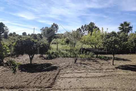 Helårsgrund i Castelo Branco, Castelo Branco, Castelo Branco - € 180.000 | Ref: SÒL_79 - foto 46