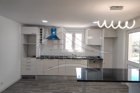 Helårsgrund i Castelo Branco, Castelo Branco, Castelo Branco - € 180.000 | Ref: SÒL_79 - foto 49