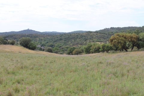 Landejendom i Borba, Evora, Borba - € 2.500.000 | Ref: ALT001/021/2024 - foto 1