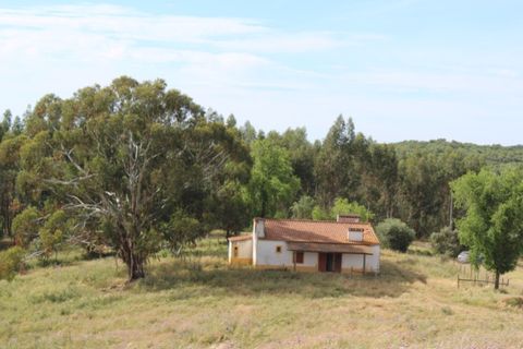 Landejendom i Borba, Evora, Borba - € 2.500.000 | Ref: ALT001/021/2024 - foto 2