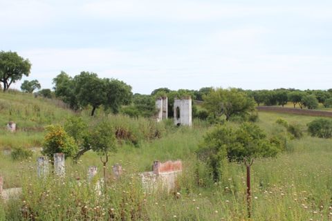 Landejendom i Borba, Evora, Borba - € 2.500.000 | Ref: ALT001/021/2024 - foto 5