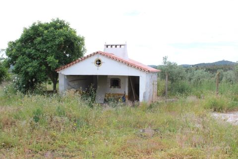 Landejendom i Borba, Evora, Borba - € 2.500.000 | Ref: ALT001/021/2024 - foto 6