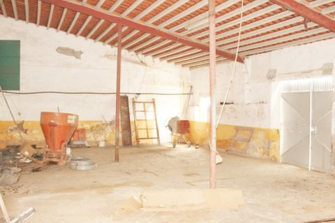 Landejendom i Borba, Evora, Borba - € 2.500.000 | Ref: ALT001/021/2024 - foto 20