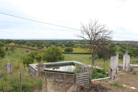 Landejendom i Borba, Evora, Borba - € 2.500.000 | Ref: ALT001/021/2024 - foto 21