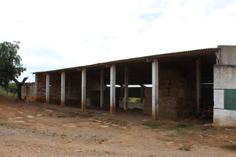 Landejendom i Borba, Evora, Borba - € 2.500.000 | Ref: ALT001/021/2024 - foto 23