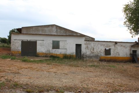 Landejendom i Borba, Evora, Borba - € 2.500.000 | Ref: ALT001/021/2024 - foto 24