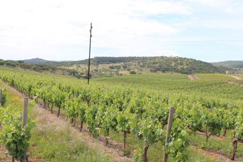 Landejendom i Borba, Evora, Borba - € 2.500.000 | Ref: ALT001/021/2024 - foto 26