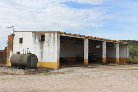 Landejendom i Borba, Evora, Borba - € 2.500.000 | Ref: ALT001/021/2024 - foto 27