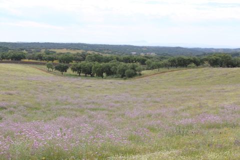 Landejendom i Borba, Evora, Borba - € 2.500.000 | Ref: ALT001/021/2024 - foto 29