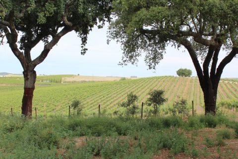 Landejendom i Borba, Evora, Borba - € 2.500.000 | Ref: ALT001/021/2024 - foto 31