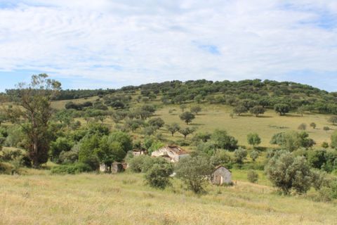 Landejendom i Borba, Evora, Borba - € 2.500.000 | Ref: ALT001/021/2024 - foto 34