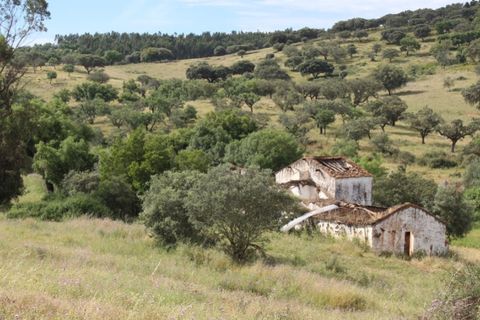 Landejendom i Borba, Evora, Borba - € 2.500.000 | Ref: ALT001/021/2024 - foto 35