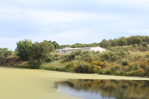 Landejendom i Borba, Evora, Borba - € 2.500.000 | Ref: ALT001/021/2024 - foto 36