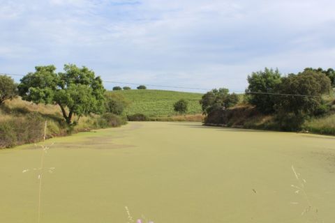 Landejendom i Borba, Evora, Borba - € 2.500.000 | Ref: ALT001/021/2024 - foto 37