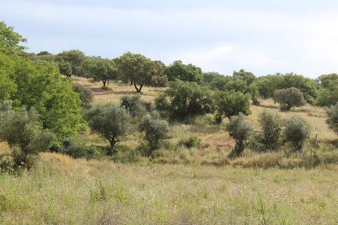 Landejendom i Borba, Evora, Borba - € 2.500.000 | Ref: ALT001/021/2024 - foto 39