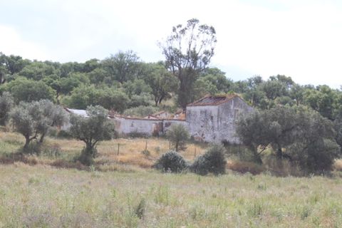 Landejendom i Borba, Evora, Borba - € 2.500.000 | Ref: ALT001/021/2024 - foto 40