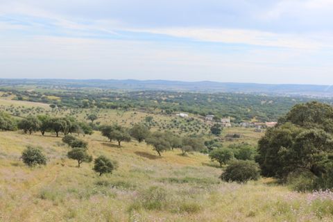 Landejendom i Borba, Evora, Borba - € 2.500.000 | Ref: ALT001/021/2024 - foto 41