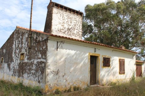 Landejendom i Borba, Evora, Borba - € 2.500.000 | Ref: ALT001/021/2024 - foto 42