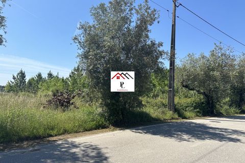 Helårsgrund i Anadia, Aveiro, Anadia - € 55.000 | Ref: V852PV - foto 2