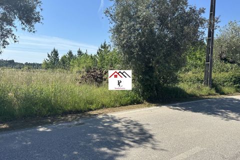Helårsgrund i Anadia, Aveiro, Anadia - € 55.000 | Ref: V852PV - foto 3