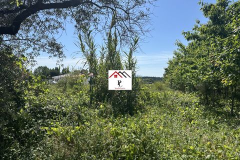 Helårsgrund i Anadia, Aveiro, Anadia - € 55.000 | Ref: V852PV - foto 4