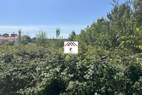Helårsgrund i Anadia, Aveiro, Anadia - € 55.000 | Ref: V852PV - foto 5