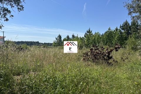 Helårsgrund i Anadia, Aveiro, Anadia - € 55.000 | Ref: V852PV - foto 6