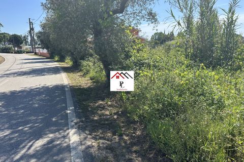 Helårsgrund i Anadia, Aveiro, Anadia - € 55.000 | Ref: V852PV - foto 7