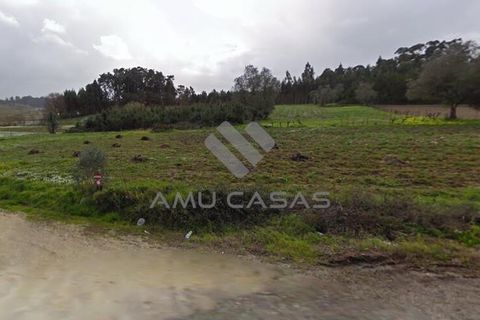 Helårsgrund i Aveiro, Aveiro, Aveiro - € 50.000 | Ref: LP10052024 - foto 2