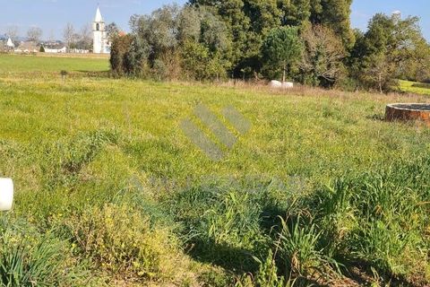 Helårsgrund i Aveiro, Aveiro, Aveiro - € 50.000 | Ref: LP10052024 - foto 3