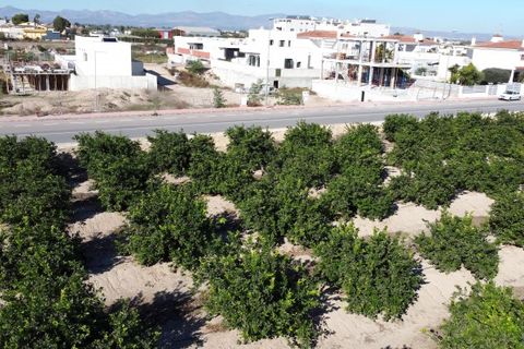 Villa i Daya Nueva, Alicante, Daya Nueva - € 350.000 | Ref: dn0012 - foto 38