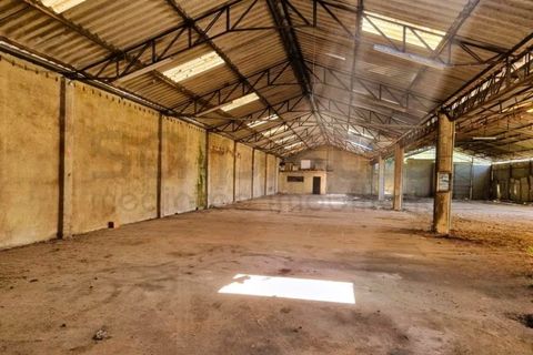Erhvervsejendom i Anadia, Aveiro, Anadia - € 192.000 | Ref: 2004 - foto 1