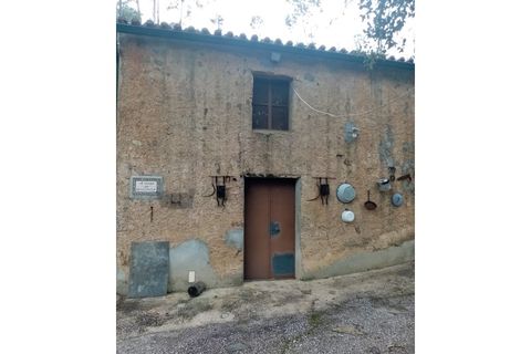 Erhvervsejendom i Macao, Santarem, Macao - € 125.000 | Ref: FIN_96 - foto 2