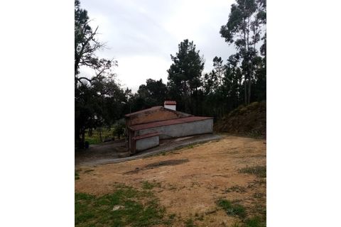 Erhvervsejendom i Macao, Santarem, Macao - € 125.000 | Ref: FIN_96 - foto 4