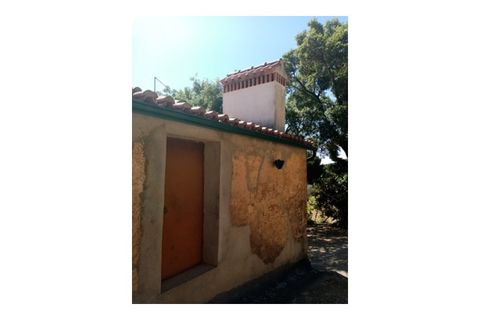 Erhvervsejendom i Macao, Santarem, Macao - € 125.000 | Ref: FIN_96 - foto 6