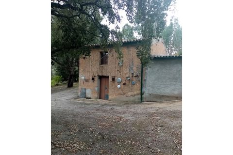 Erhvervsejendom i Macao, Santarem, Macao - € 125.000 | Ref: FIN_96 - foto 9