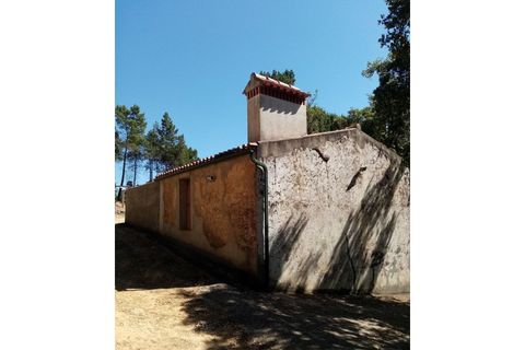 Erhvervsejendom i Macao, Santarem, Macao - € 125.000 | Ref: FIN_96 - foto 11
