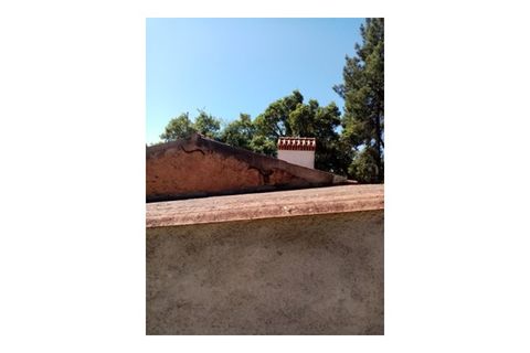 Erhvervsejendom i Macao, Santarem, Macao - € 125.000 | Ref: FIN_96 - foto 12