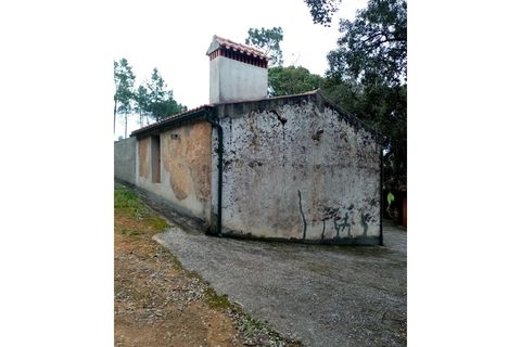 Erhvervsejendom i Macao, Santarem, Macao - € 125.000 | Ref: FIN_96 - foto 13