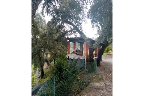 Erhvervsejendom i Macao, Santarem, Macao - € 125.000 | Ref: FIN_96 - foto 16
