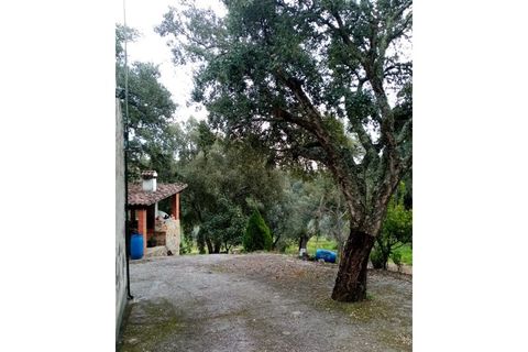 Erhvervsejendom i Macao, Santarem, Macao - € 125.000 | Ref: FIN_96 - foto 18